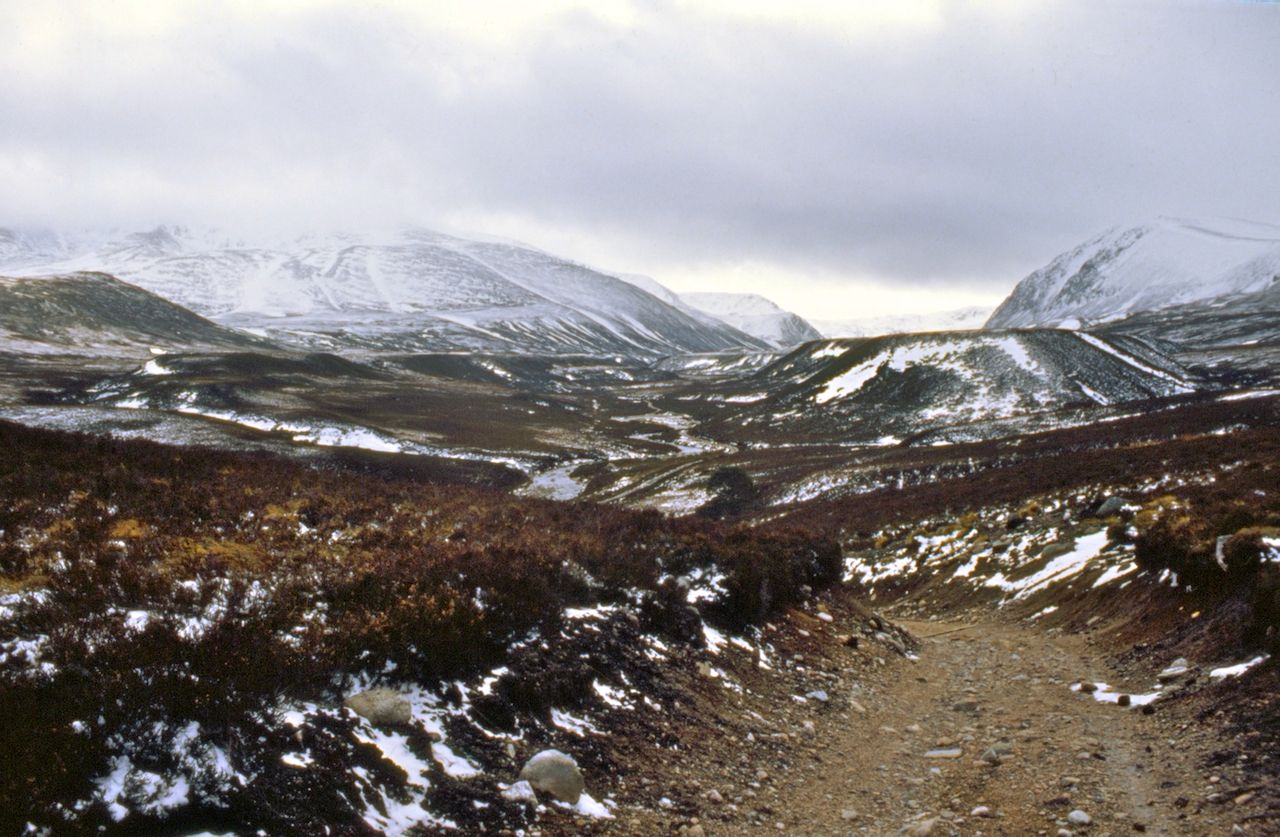 One Man Walking; or The Accidental Flâneur