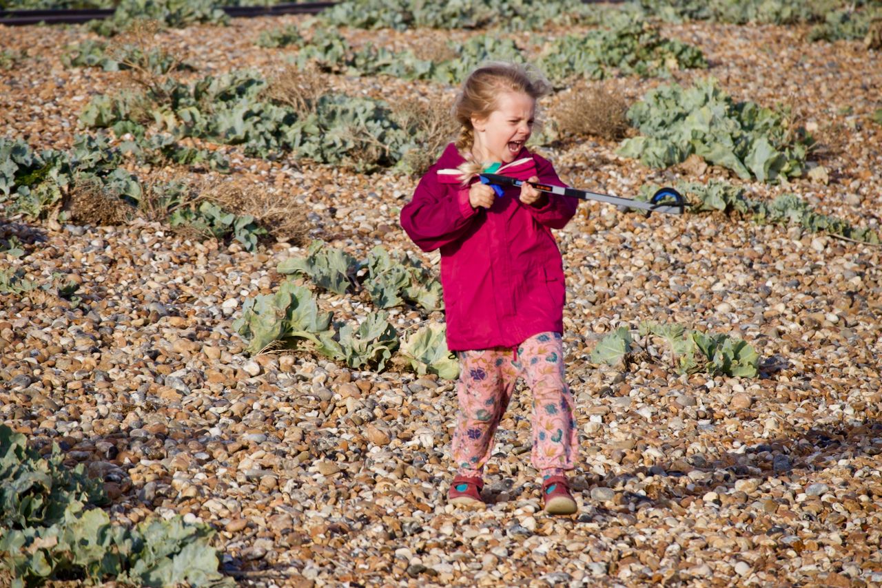 Beach cleaning after Ellen