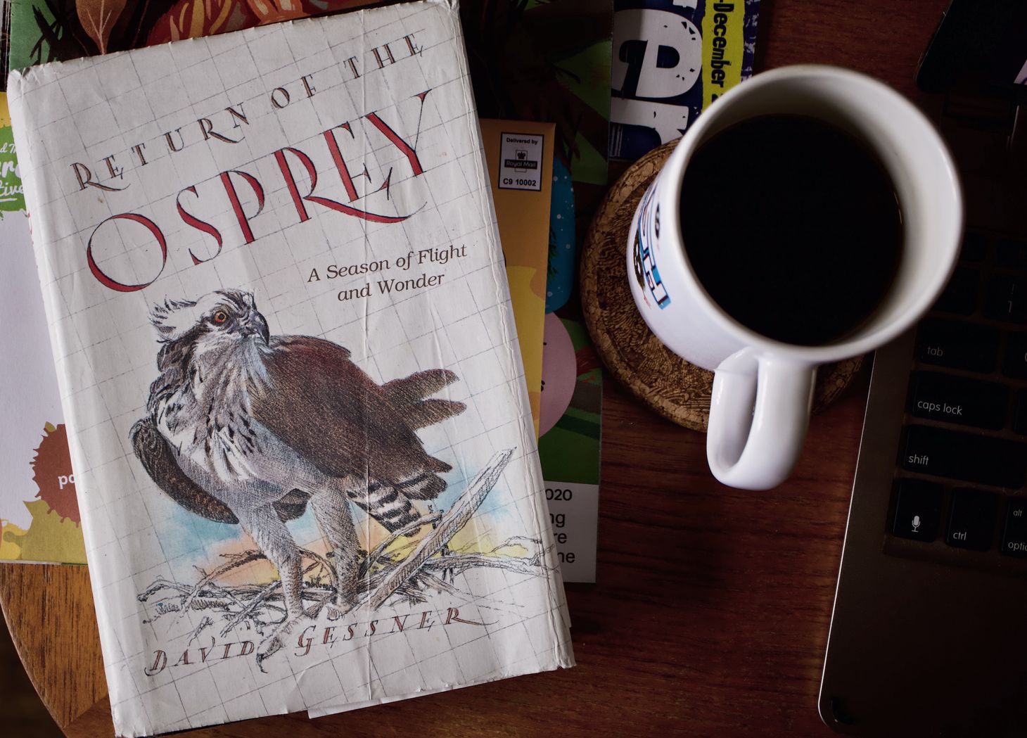 Review: Return of the Osprey by David Gassner