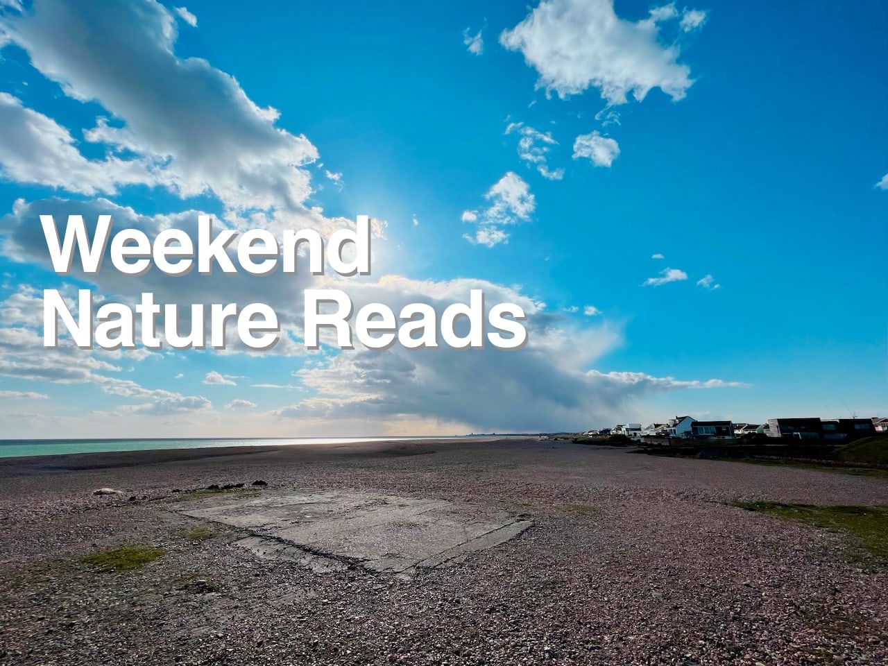Weekend Nature Reads: the “good news, bad news” edition